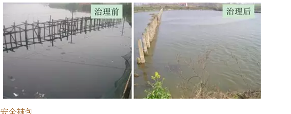 河道黑臭水質(zhì)微生物改善技術(shù)- 河道黑臭水質(zhì)微生物改善技術(shù)-