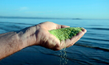 化學品展區(qū)——dryden afm活性過濾濾料