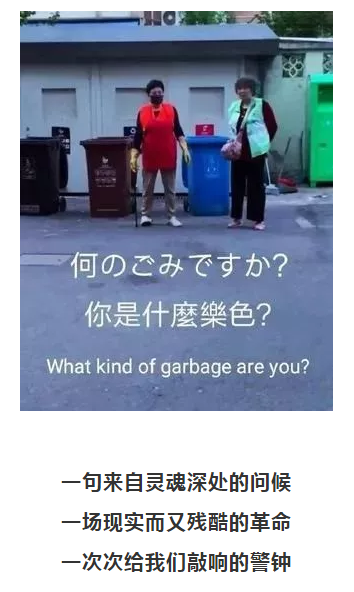 你被“垃圾分類”洗腦了嗎？揭秘強制分類背后的驚天秘密！-