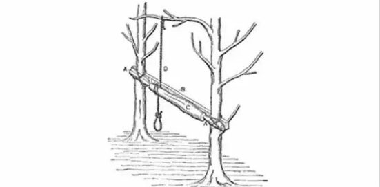 機床的祖先是誰，看完后驚呆了！-