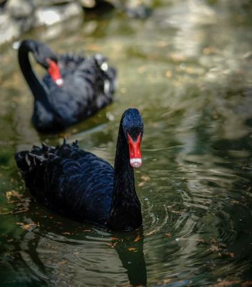 被評(píng)為“上海名牌”產(chǎn)品，這家企業(yè)究竟為民族閥門(mén)工業(yè)盡了多少力量？-