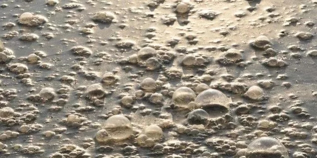 污水廠內(nèi)的生物氣溶膠怎么產(chǎn)生，污水從業(yè)人員如何做好防護(hù)？-