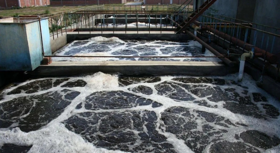 住建部：如何應(yīng)對(duì)新冠病毒從馬桶到水環(huán)境的潛在傳輸途徑？