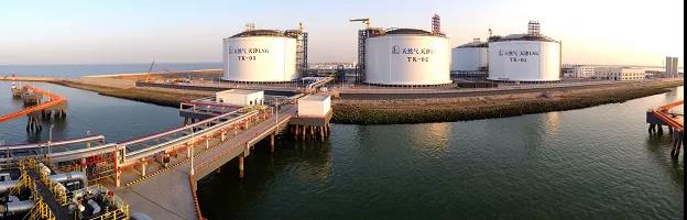 多個(gè)百億級超大項(xiàng)目按下快進(jìn)鍵，天津南港工業(yè)區(qū)唱響春天進(jìn)行曲-