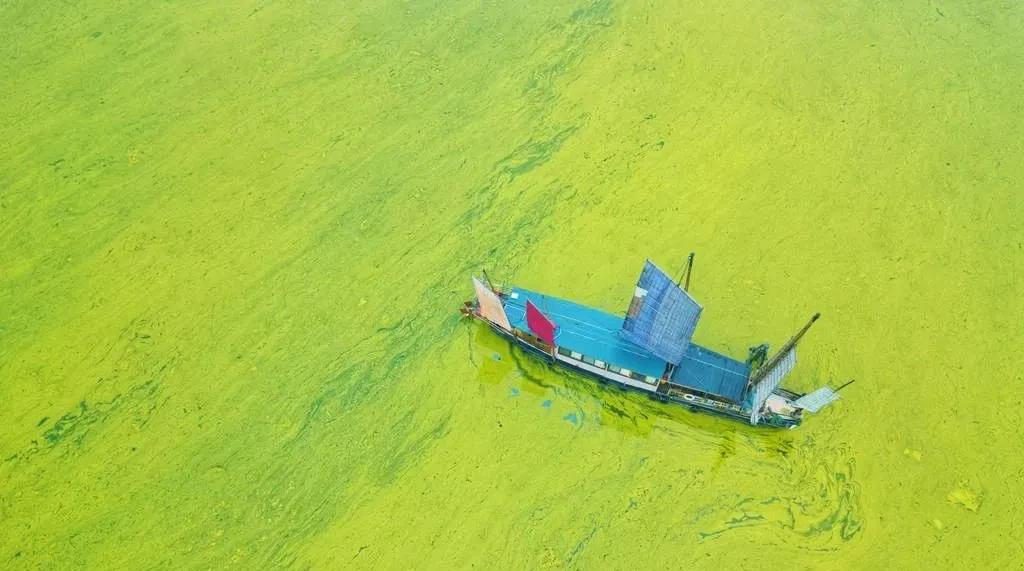 江蘇修訂太湖水環(huán)境治理專項資金管理辦法，5月27日起實施-