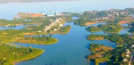 不斷加速的淘汰賽中，泵管閥“后浪們”為活下去而戰(zhàn)！