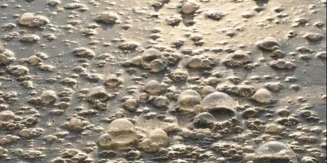 污水廠內(nèi)的生物氣溶膠，污水從業(yè)人員必讀-