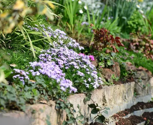 南北花園給排水問(wèn)題差異大，你知道嗎？-