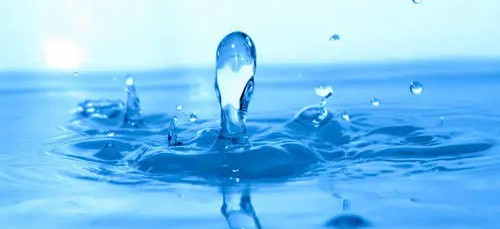 碳中和也內(nèi)卷？歐洲啤酒巨頭將用污水釀酒