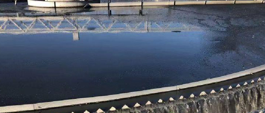 再生水利用率高達50%！看北控水務(wù)這座污水廠玩轉(zhuǎn)資源化