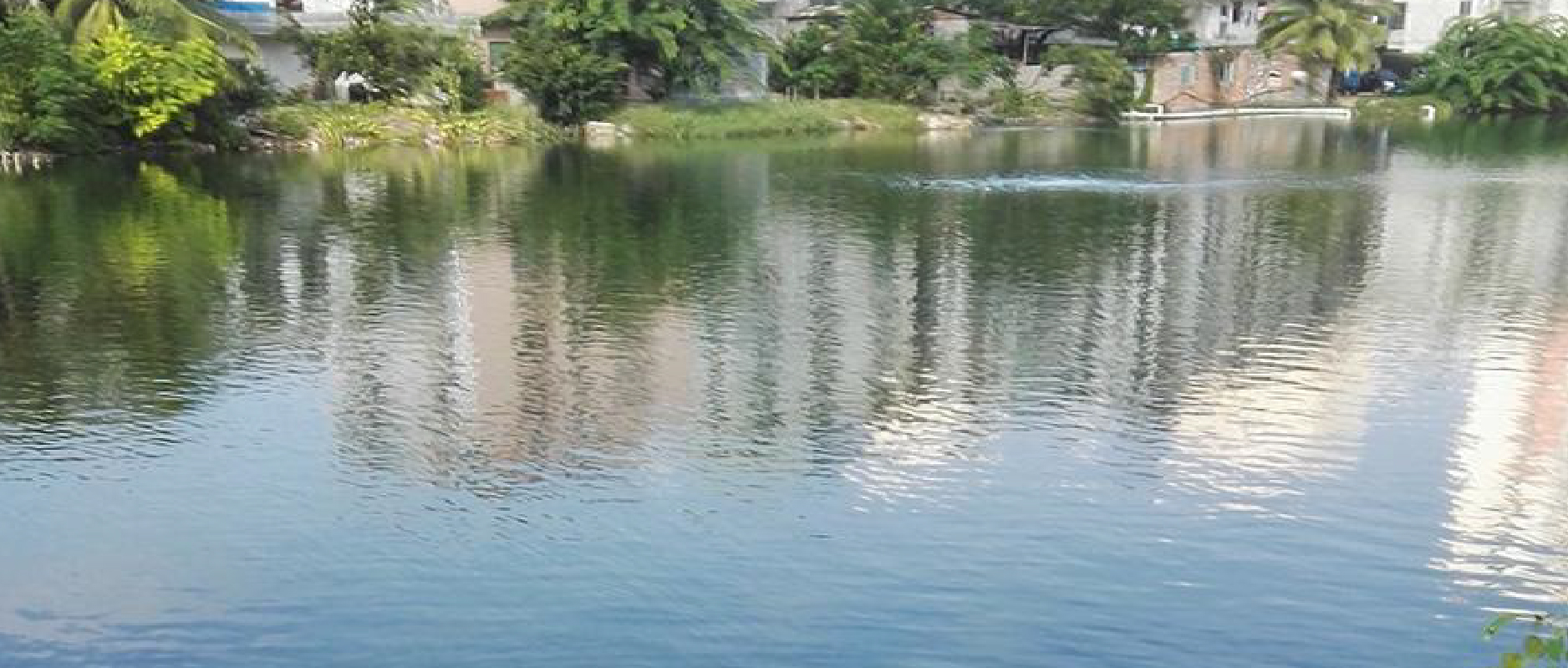 2023黑臭水體整治新動作不斷！問題到底怎么破？