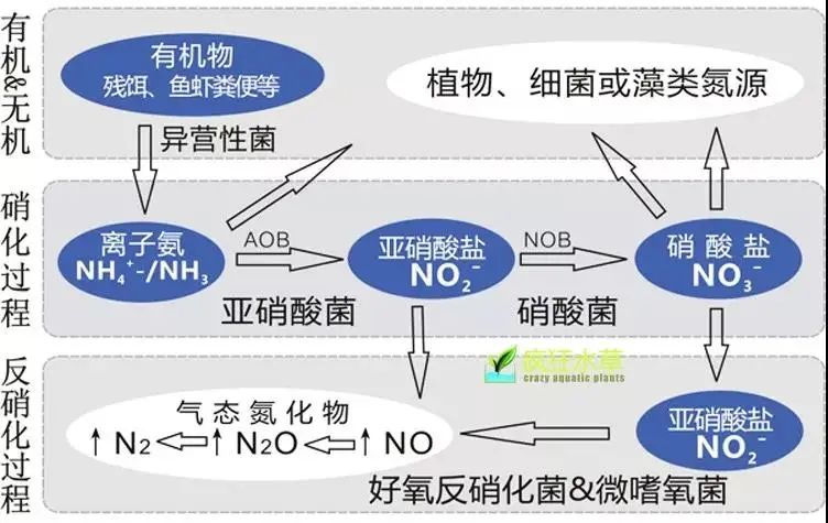 面對低濃度氨氮工業(yè)廢水束手無策？這幾種方法可以解決-