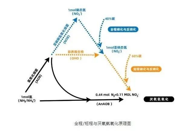 面對低濃度氨氮工業(yè)廢水束手無策？這幾種方法可以解決-