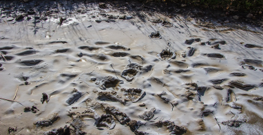 換季污泥膨脹，怎么辦？