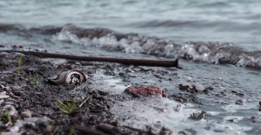 103條黑臭水體！江蘇2024年全省農(nóng)村環(huán)境整治工作計劃！